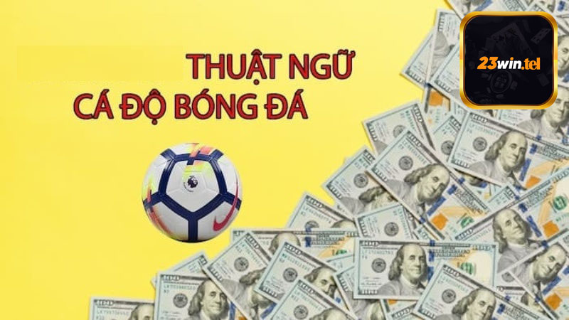 Thuật ngữ cá độ bóng đá là gì?