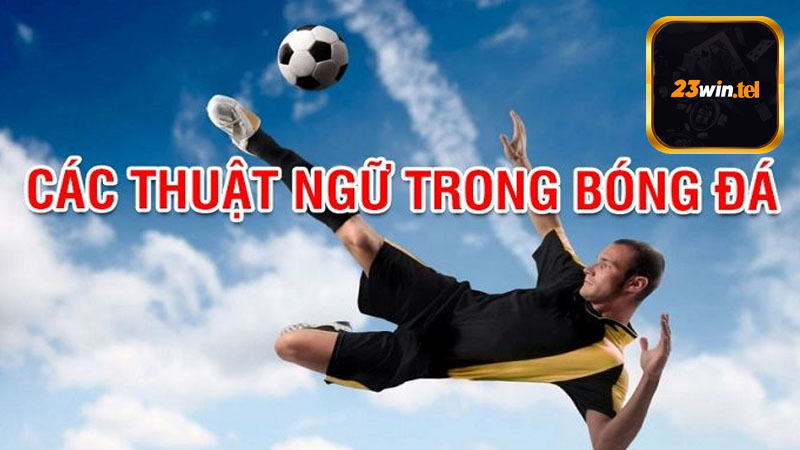 Thuật ngữ cá độ bóng đá đang được sử dụng hiện nay